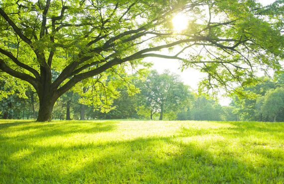 山口市で占いを行い仕事の悩みも鑑定しておりますのでお問い合わせください